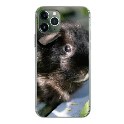 Produktbild von MuchoWow® Handyhülle Schutzhülle Hülle für iPhone 11 Pro Meerschweinchen im Garten Silikon Softcase Handy Hülle - Handy