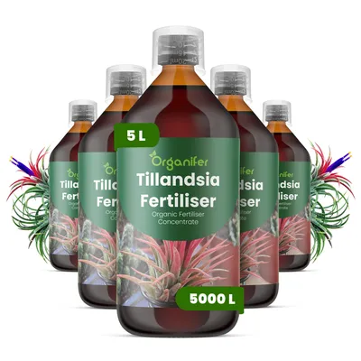 Produktbild von Flüssigdünger Für Tillandsien 5x1L – 2-1-8 NPK – Flüssig-Pflanzendünger Für Tillandsien – Organifer