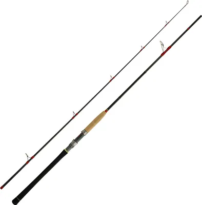 Produktbild von WFT High Carbon Never Crack II 2,45m 40-180g