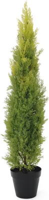 Obrázek produktu pro Europalms Zypresse Leyland Kunstpflanze 120cm 82606964