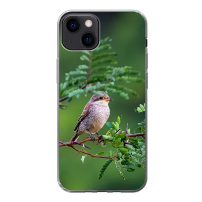 Produktbild von MuchoWow® Handyhülle Schutzhülle Hülle für iPhone 13 Vogel - Baum - Wald Silikon Softcase Handy Hülle - Karteninhaber