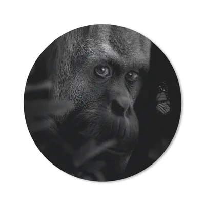 Produktbild von MuchoWow® Mauspad Mousepad Schmetterling - Affe - Pflanzen - Schwarz - Weiß 30x30 cm - Mousepads - Maus Mat - Pad - Mausunterlage - Tischunterlage - Schreibtischmatten