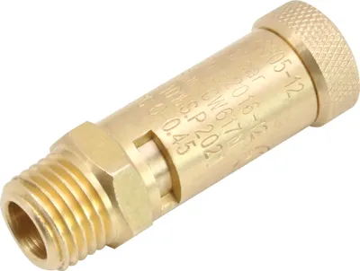 Immagine prodotto di Valvola di sicurezza 1/4" 12 Bar per compressore d'aria