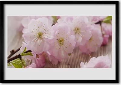 Produktbild von Bild 70x50 MDF-Rahmen Wandkunst Branchen Blumen Blütenblätter Natur