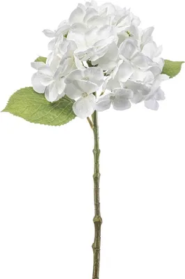 Produktbild von artplants.de Kunstblume Hortensie EXORIN, weiß, 45cm - Künstliche Hydrangea