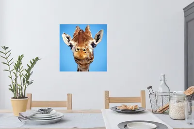 Produktbild von MuchoWow® - Selbstklebend - Fototapeten