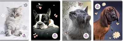 Immagine prodotto di Quaderno A5/80 fogli a quadretti The Sweet Pets (5 pezzi) - Beniamin