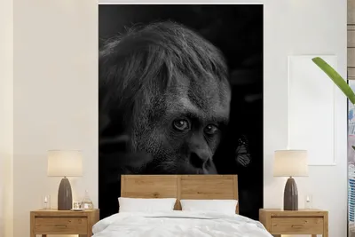 Produktbild von MuchoWow® Fototapete für Wohnzimmer oder Schlafzimmer Wandtapete Vinyl Motivtapete Nahaufnahme eines Affen im Dschungel - schwarz und weiß - 195x300 cm - Das Hintergrundbild