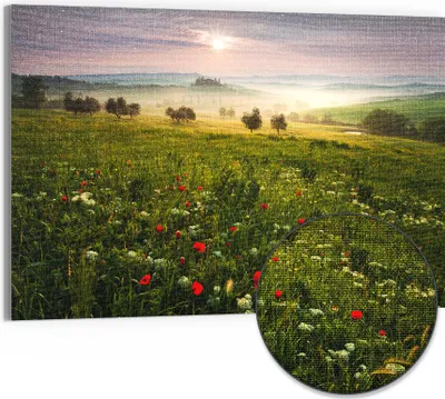 Produktbild von DEQORI Hybrid Leinwand Bild 90x60 cm 'Idyllisches Morgenlicht' Wandbild Glas flach modern
