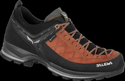 Produktbild von Zustiegs- und Wanderschuhe Mountain Trainer 2 GTX (Herren) – Salewa, Farbe:7519 Autumnal, Größe:UK 11.5 (EUR 46.5)