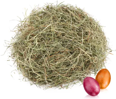 Produktbild von COM-FOUR® 100g Bergwiesenheu für Osternester - Osterdeko zum Basteln - natürliches Ostergras für Osterkörbe