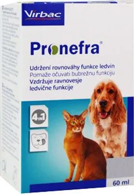 Produktbild von Pronefra Nahrungsergänzungsmittel für Katzen, Nierenunterstützung bei chronischer Niereninsuffizienz, 60 ml