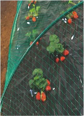 Produktbild von Vogelschutznetz 2 x 5 m - Art.Nr. 120005