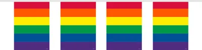 Produktbild von Folat Regenbogen Wimpelgirlande aus Folie, 10m lang, 15 Wimpel, je ca. 30cm hoch