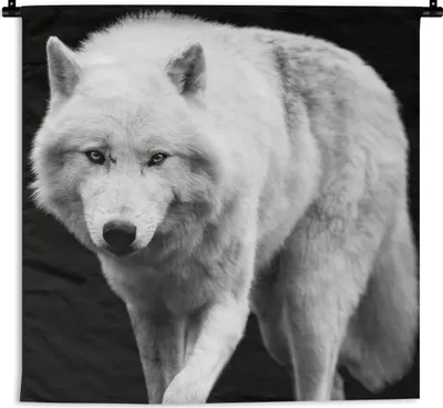 Produktbild von MuchoWow® Wandteppich Wandbehang Wolf - Tier - Schwarz - Weiß 60x60 cm Tapisserie Dekoration Wandtuch - Dekorationen - Wand Decke