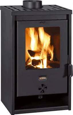 A black wood-burning stove with a glass door showing a fire inside.