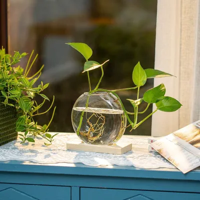 Produktbild von Holz Pflanzenhalter mit Glasvasen - Dekoration für Haus und Garten - Set von 2 - Natürliches Holz und Glas