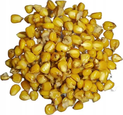 Produktbild von TTCarp CORN Fertigkörner 1kg