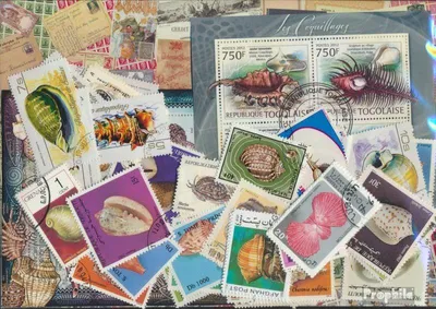 Produktbild von Briefmarken Motive 100 verschiedene Muscheln Marken