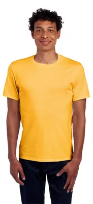 Produktbild von Jerzees - "Essential" T-Shirt für Herren, Baumwolle LT5004 (XL) (Gold)