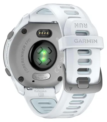 Image de Montre GPS de sport Garmin Forerunner 170 Music, modèle Steinweiss