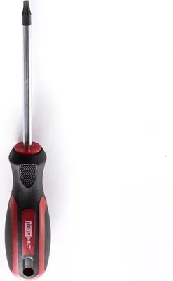 Produktbild von Schraubendreher Torx T20 6x100mm Magnetisch Schraubenzieher T Profil Sternprofil