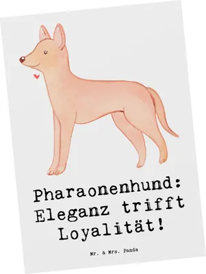 Produktbild von Mr. & Mrs. Panda Postkarte Pharaonenhund Eleganz - Weiß - Geschenk, Grußkarte, aktiver Lebensstil, Hunderassen Charakter, Ansichtskarte, aktive Hunde, Ansichtskarten