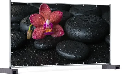 Produktbild von Wallario XXL Outdoor-Poster für Garten oder Balkon, Motiv Orchideen-Blüte auf schwarzen Steinen, benetzt mit Wasser-Tropfen, in ca. 340 x 173 cm