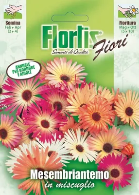 Produktbild von Mittagsblume Mischung | Mittagsblumensamen von Flortis