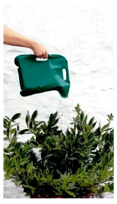 Produktbild von Faltbare Gießkanne für Balkon oder Friedhof - Grün, Kunststoff, 1,5 Liter