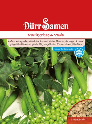 Produktbild von Markerbse Vada | Markerbsensamen von Dürr Samen