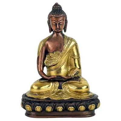 Produktbild von Buddha-Amitabha-Statue zweifarbig – 1500 g; 20 cm