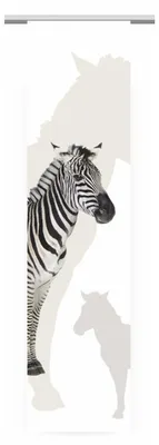 Produktbild von Flächenvorhang „Zebra“ Farbe: grau - Größe (HxB) 245x60cm