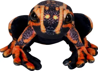 Produktbild von Coppenrath Pfeilgiftfrosch Sonstige
