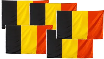 Zdjęcie produktu dla 5 flag Belgii – Czerwone Diabły – flaga Belgii – 5 sztuk – 150/90 cm – poliester – mistrzostwa świata – mistrzostwa Europy – piłka nożna – kibicowanie Belgii – CHPN