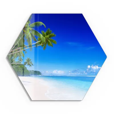 Produktbild von DEQORI Glasbild Echtglas 40x35 cm 'Palmen am Sandstrand' Wandbild Bild modern Deko