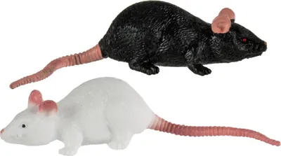 Produktbild von Dehnbare Ratte als Spielzeug 11 cm | Schwarz / Weiß