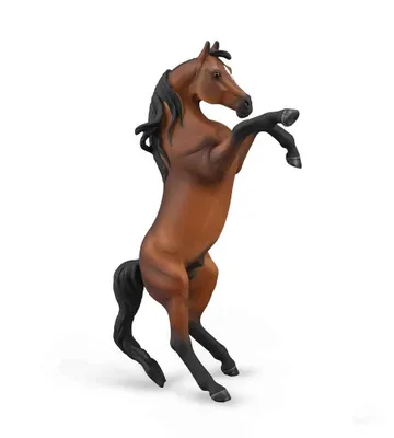 Zdjęcie produktu dla Arabian Stallion - Rearing Bay