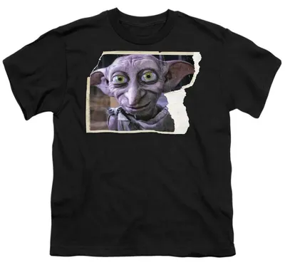 Immagine prodotto di Harry Potter - T-shirt per bambini, cotone filato ad anello, modello TV36215 (taglia 116) (nero)