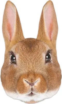 Produktbild von Tier Maske - Masken - Rabbit