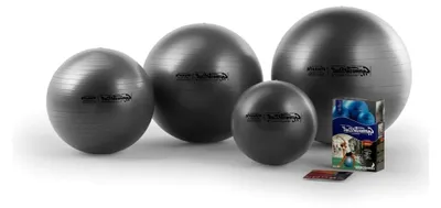 Produktbild von Pezzi Gymnastikball Maxafe 65 cm grau