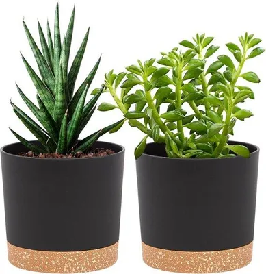 Productafbeelding van Set van 2 plantenpotten, 12,7 cm, bloempotten voor kamerplanten met drainagegaten en een afneembare bodem, voetstuk. Moderne decoratie voor buitenplanten (donkergrijs, 12,7 cm)