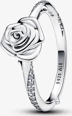 A close-up studio shot of a silver ring with a rose design.