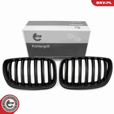 Immagine prodotto di ESEN SKV 66SKV278 Griglia anteriore per BMW X5 (E53) Nero opaco