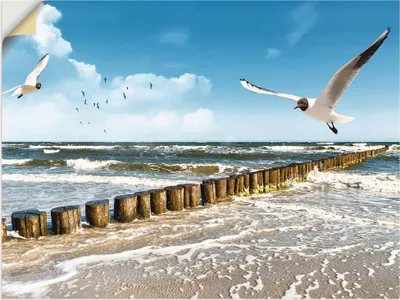 Produktbild von ARTland Wandbild, selbstklebend Ostsee Größe: 40x30 cm