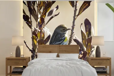 Produktbild von MuchoWow® Fototapete für Wohnzimmer oder Schlafzimmer Wandtapete Vinyl Motivtapete Vogel zwischen einem Zweig mit Blättern - 280x280 cm - Hintergrundbild