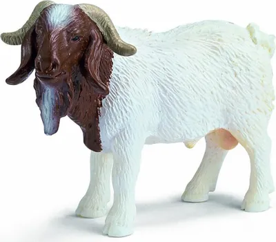Immagine prodotto di Capra boera Schleich 13258