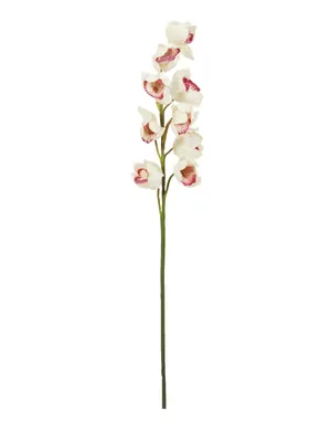 Image de EUROPALMS Branche de cymbidium, artificielle, blanc-rose, 90cm (82530312)