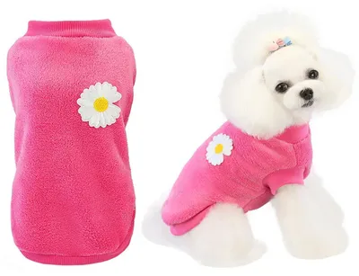 Produktbild von Hundepullover Fleece Warm Winter Chrysanthemenmuster Magenta Größe L