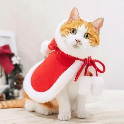 Produktbild von Weihnachtsmantel für Katzen und Hunde - Rotes Kostüm für Haustiere